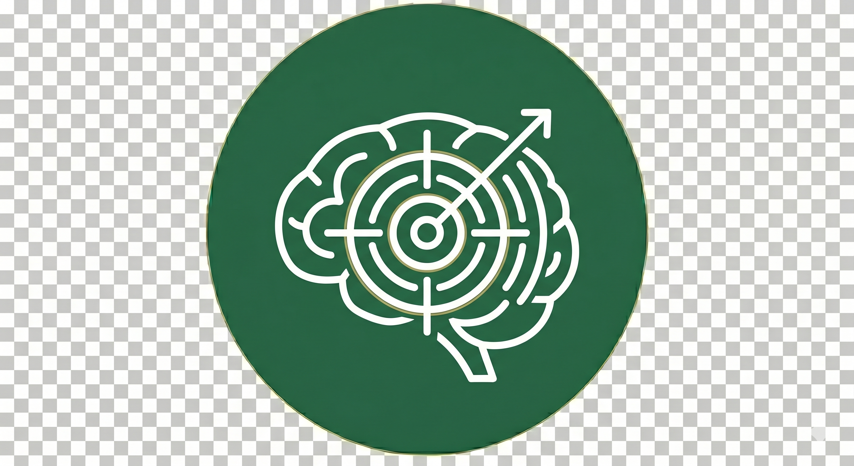 Makes learning visible